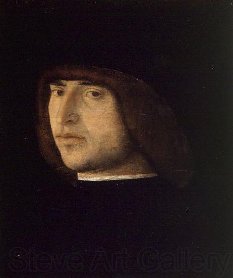 Gentile Bellini Portrait of a Young Man France oil painting art